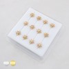 CELESTIAL MULTI CZ STARBURST POLISH 316L SURGICAL STEEL L-SHAPE NOSE RING BOX CELESTIAL MULTI CZ STARBURST POLISH 316L SURGICAL STEEL L-SHAPE NOSE RING BOX